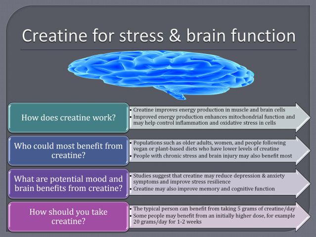Creatine and cognitive function